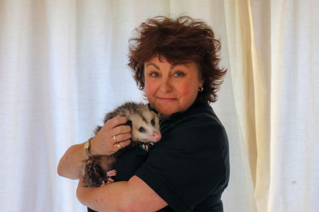 Home Safari AnimalAssisted Activities & Pet Handling Education